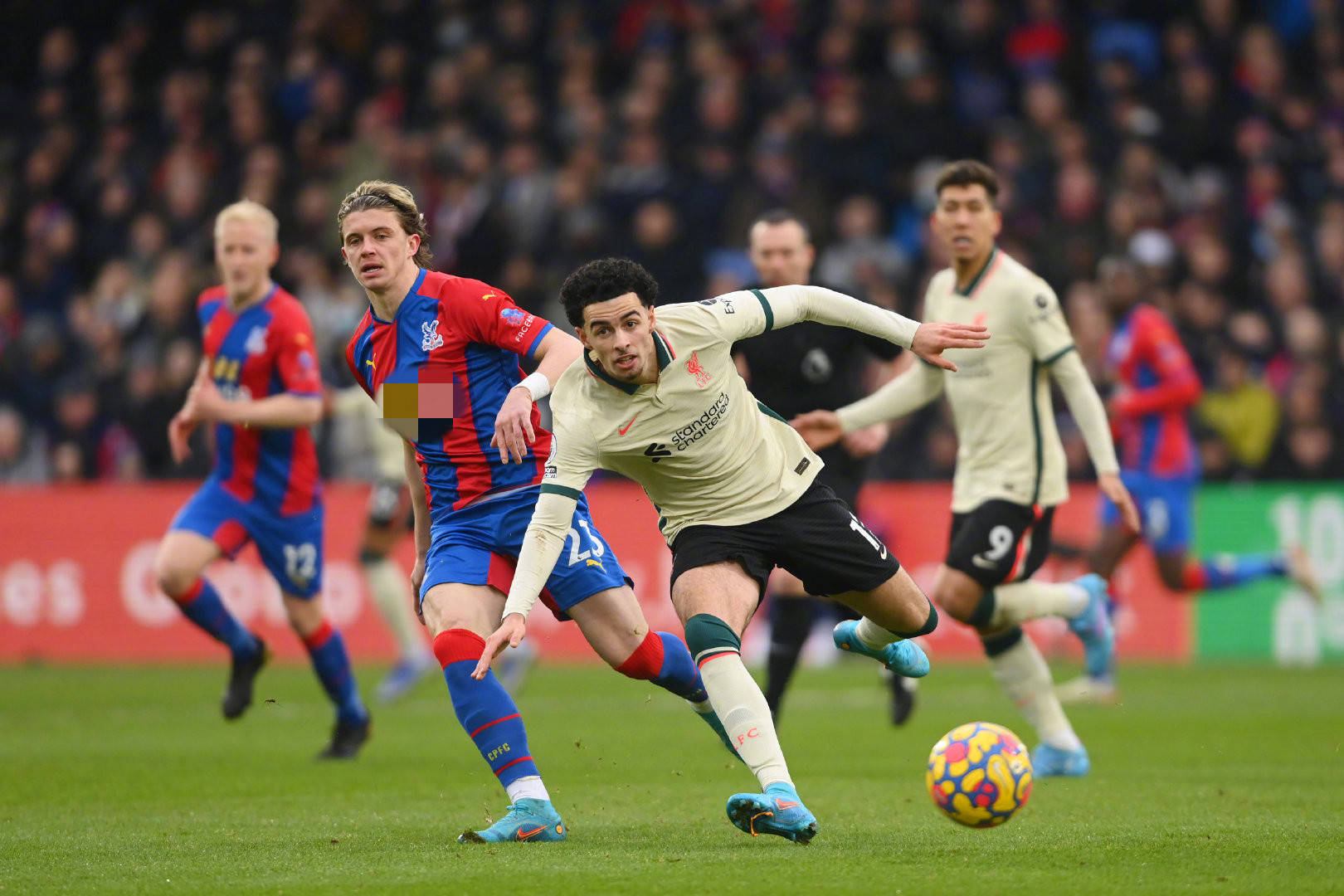 增长的重要 增长的重要